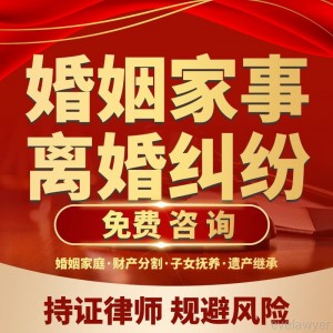 律师法律咨询婚前内后财产债务纠纷子女抚养权房产彩礼离协议合同