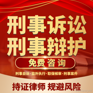 刑事律师咨询案件事务所律师阅卷无罪辩护取保候审会见打架